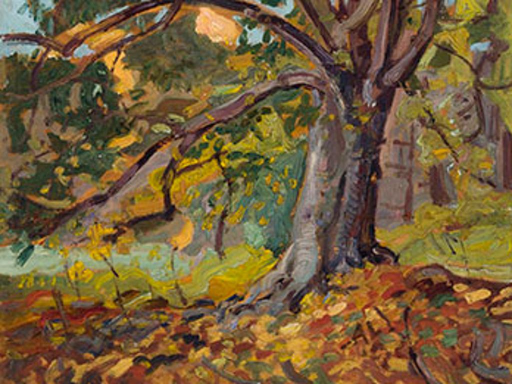 Arthur Lismer (1885-1969) - The Beech Tree