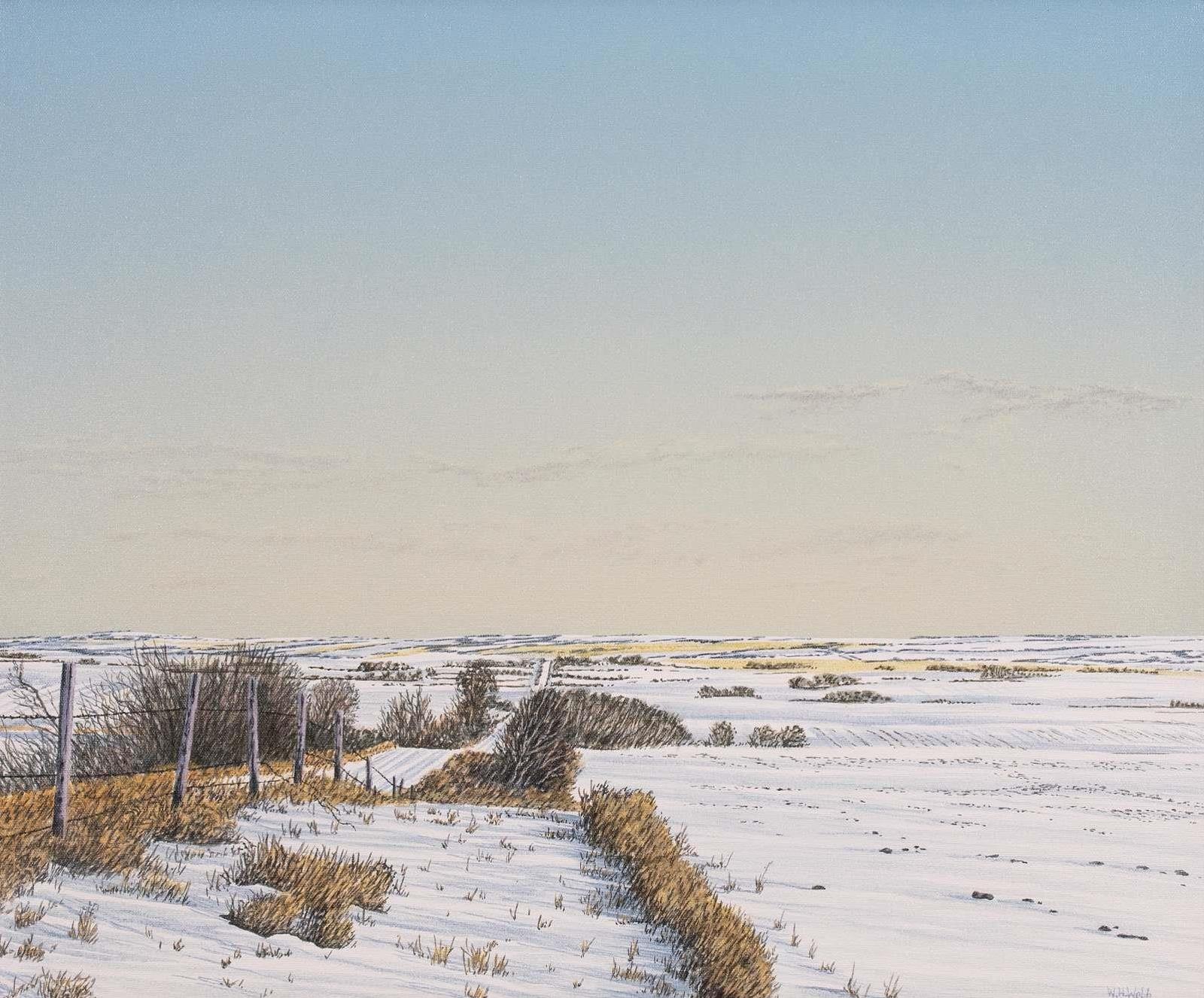 William H. (Bill) Webb (1940) - Winter Study, North Of Edgerton; 1995