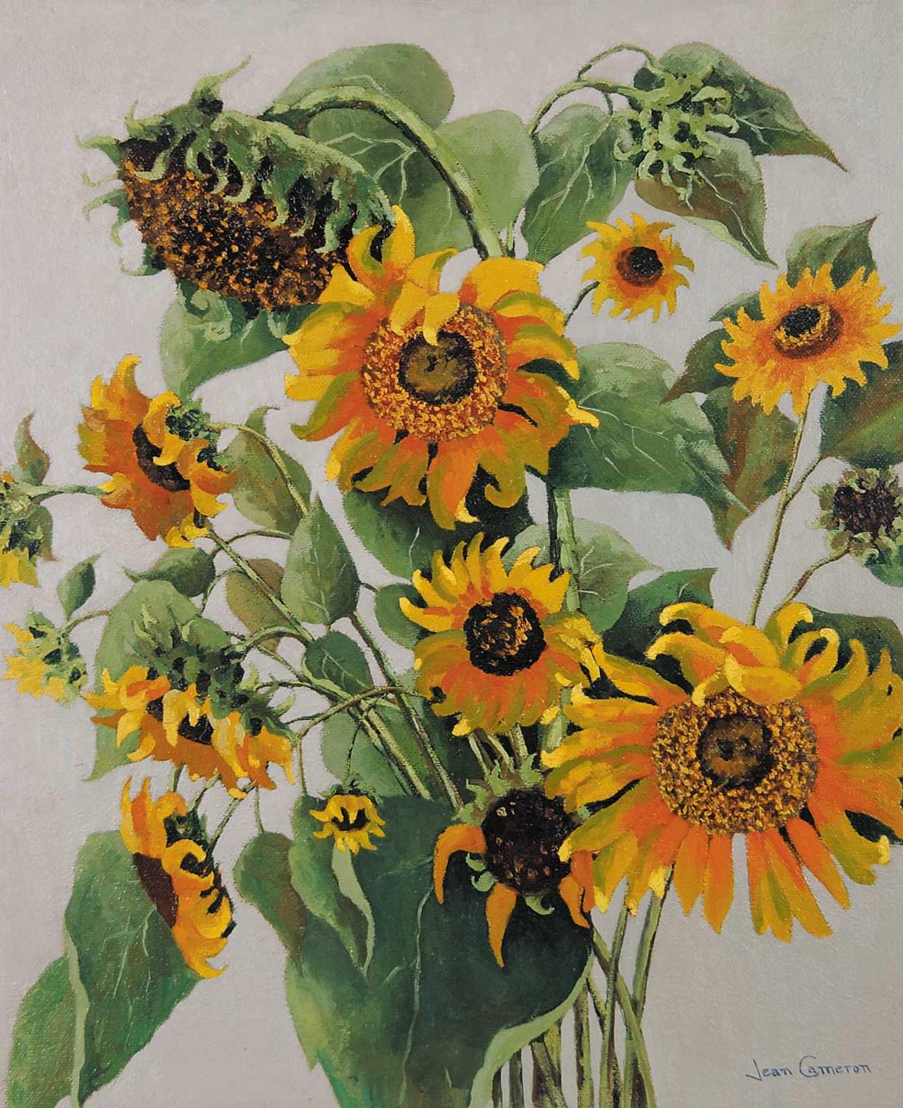 Jean Park Cameron (1905) - Sunflowers