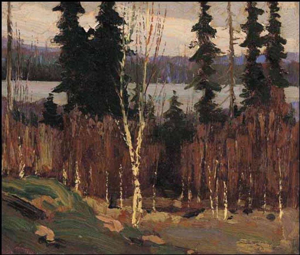 Thomas John (Tom) Thomson (1877-1917) - South Shore of Canoe Lake, Algonquin Park