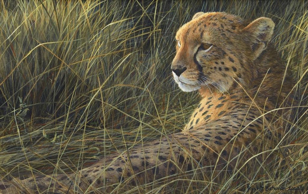 Robert Mclellan Bateman (1930-1922) - Cheetah on the Mara