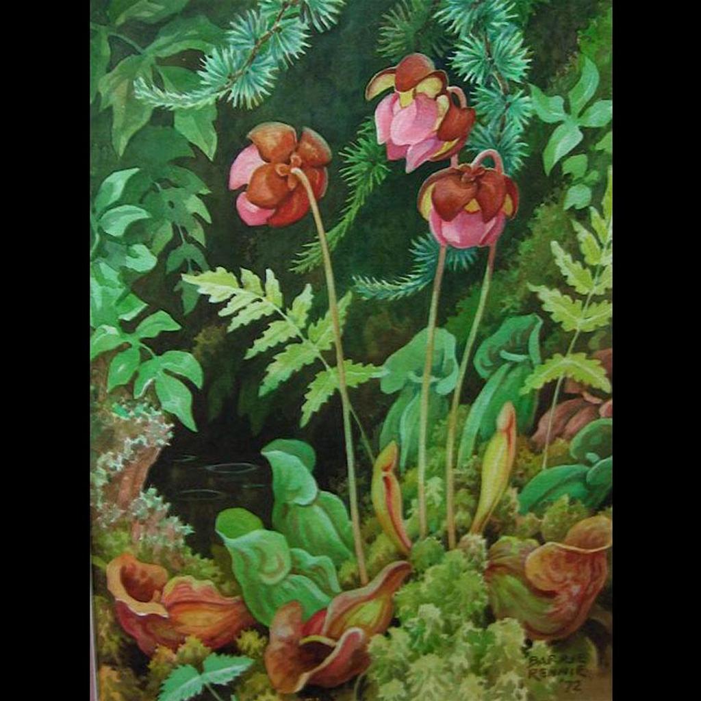 John Barrie Rennie (1895-1965) - Pitcher Plant - Sarraenia Purpurea