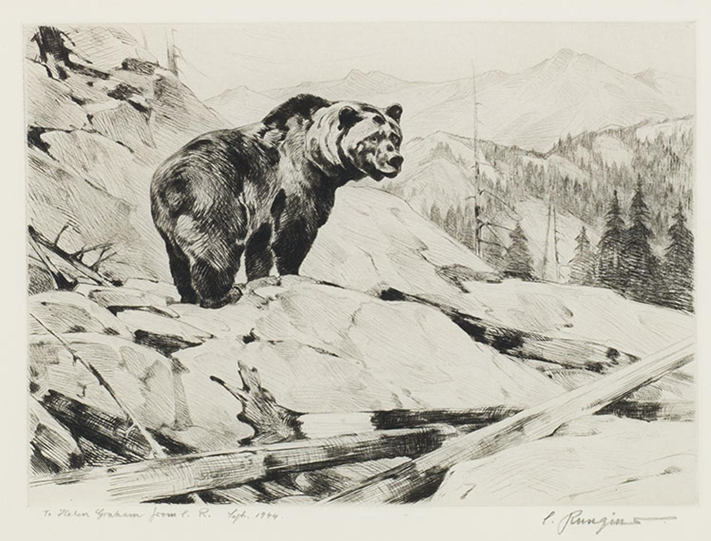 Carl Clemens Moritz Rungius (1869-1959) - Grizzly Bear, Silvertip