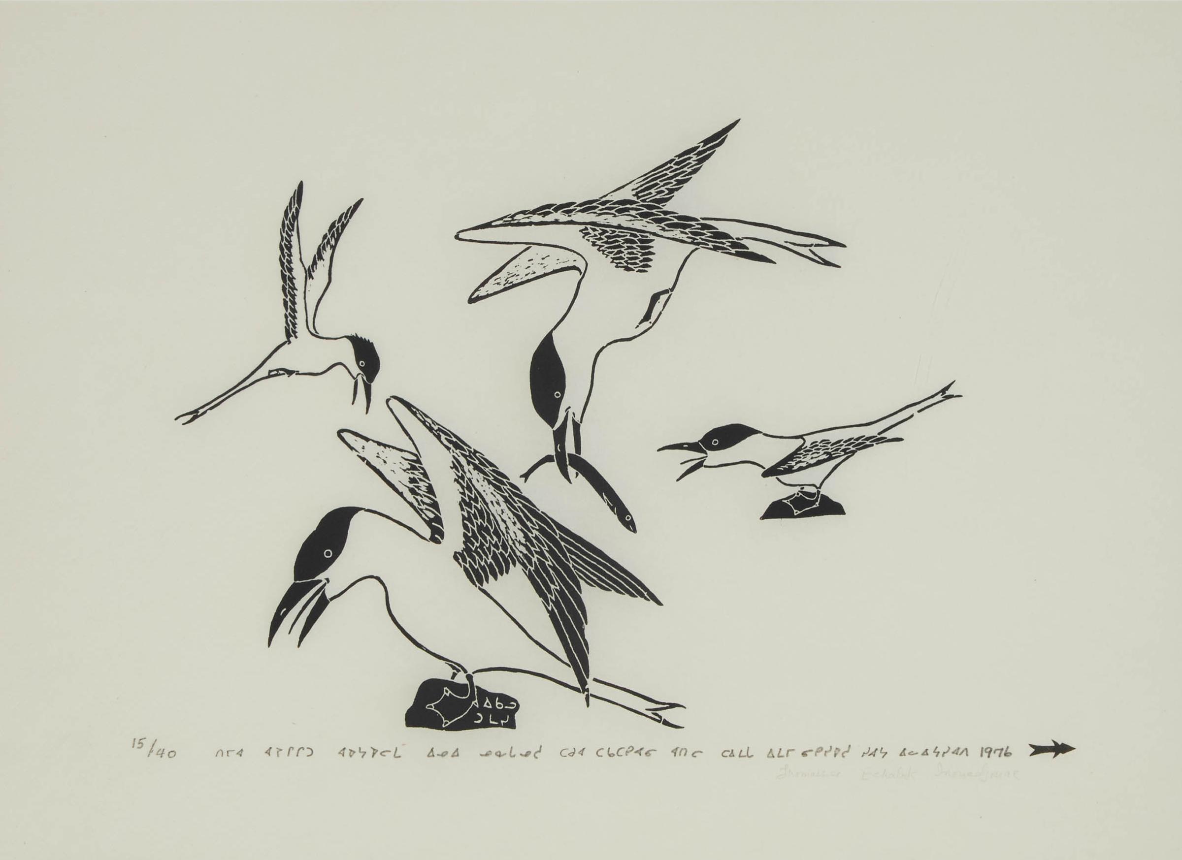 Thomassie Echalook (1935-2011) - Sea Birds, 1976