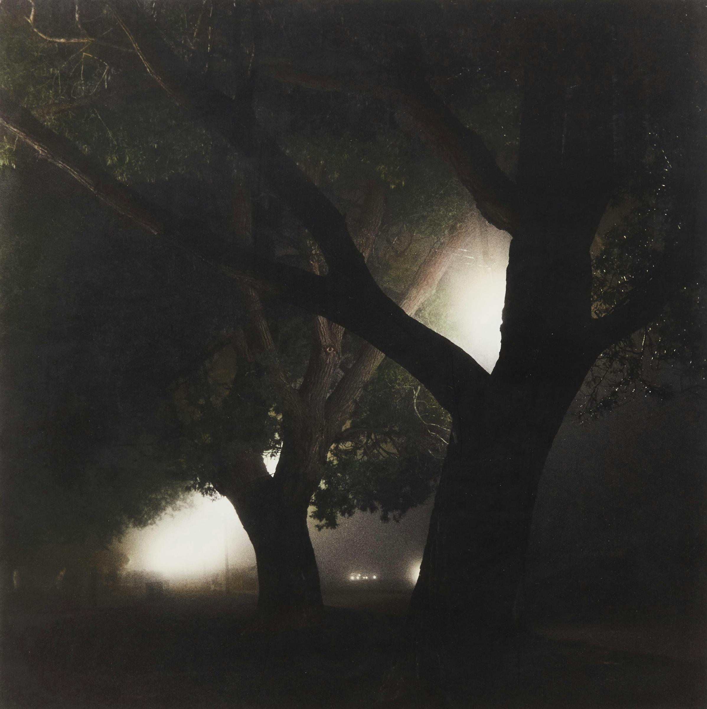 Rick Zolkower (1950) - Night Trees