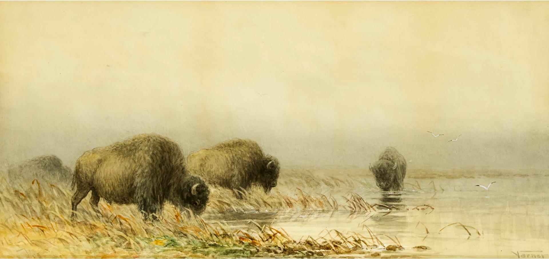 Frederick Arthur Verner (1836-1928) - Untitled (Bisons At Water's Edge), 1884