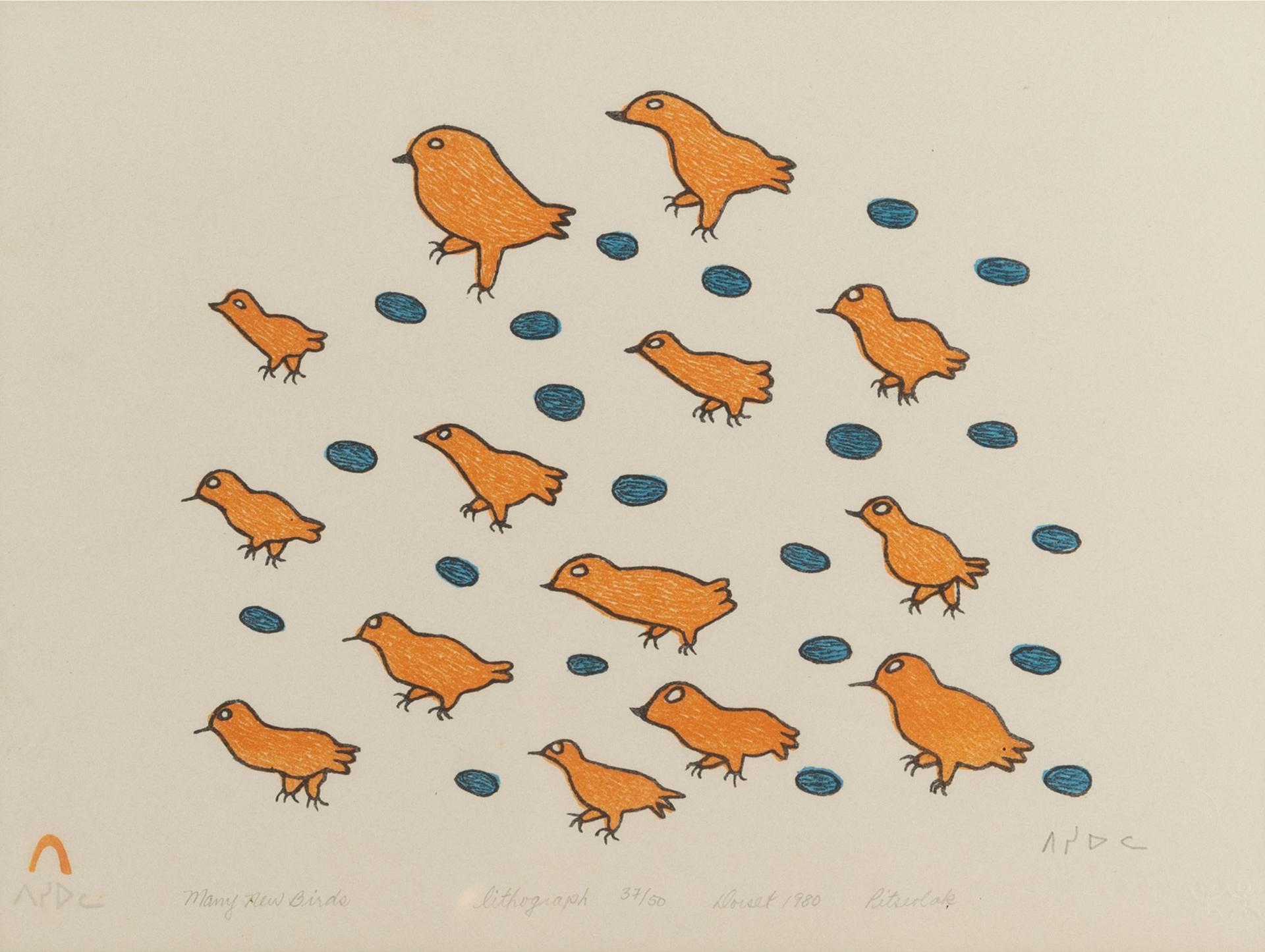 Pitseolak Ashoona (1904-1983) - Many New Birds, 1980