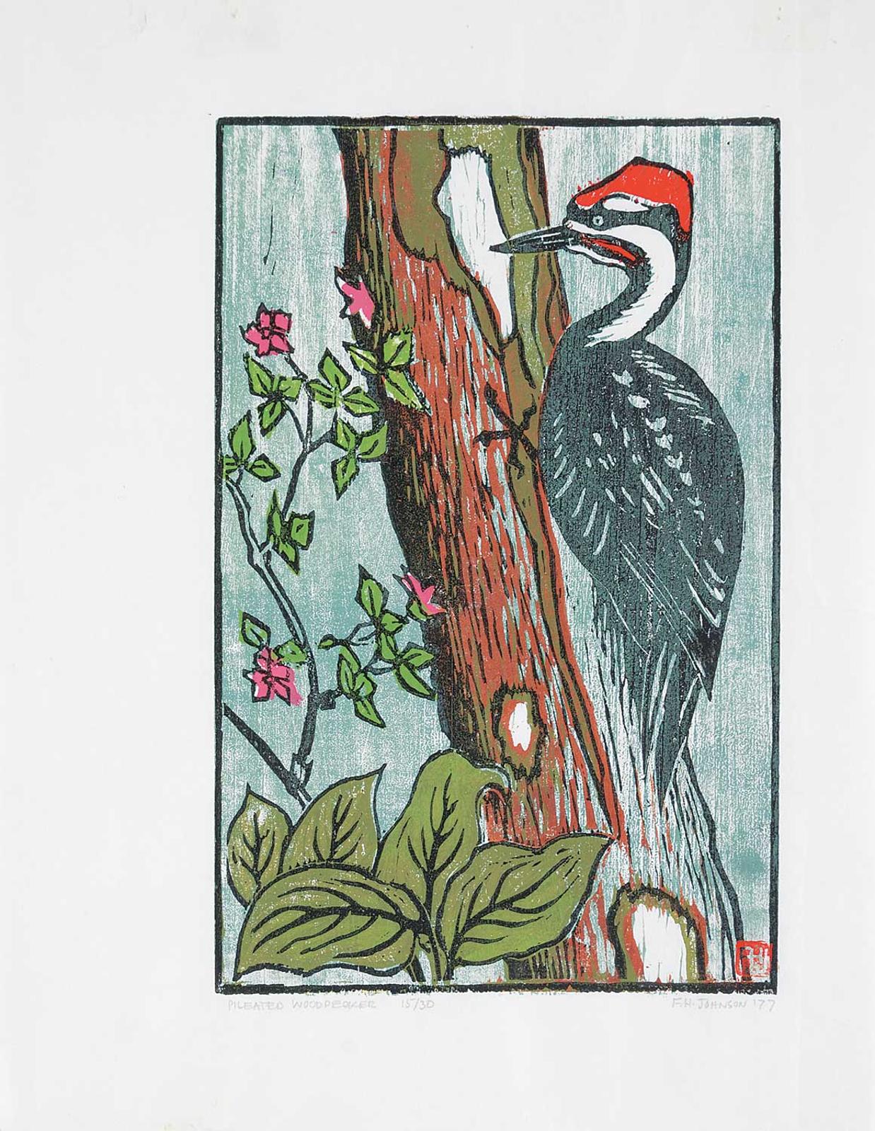 F.H. Johnston - Pileated Woodpecker  #15/30