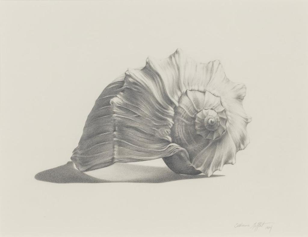 Catherine Moffat - Shell Study