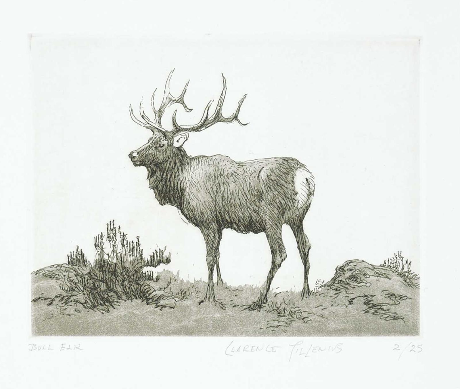 Clarence Ingwall Tillenius (1913-2012) - Bull Elk  #2/25