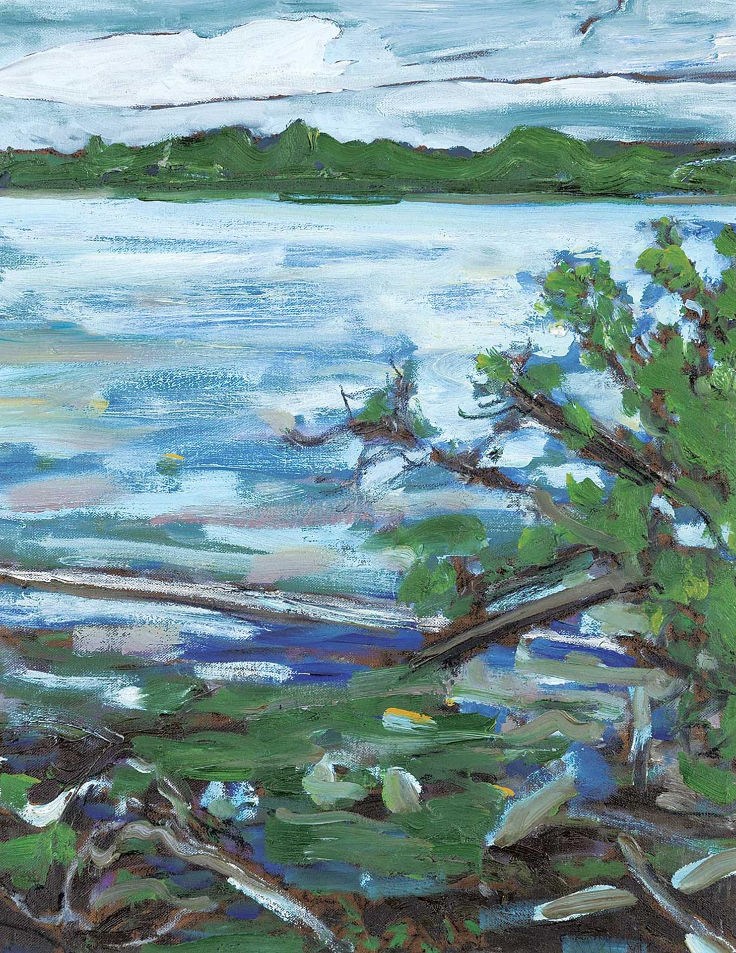 Gordon Snyder (1951) - Clear Lake