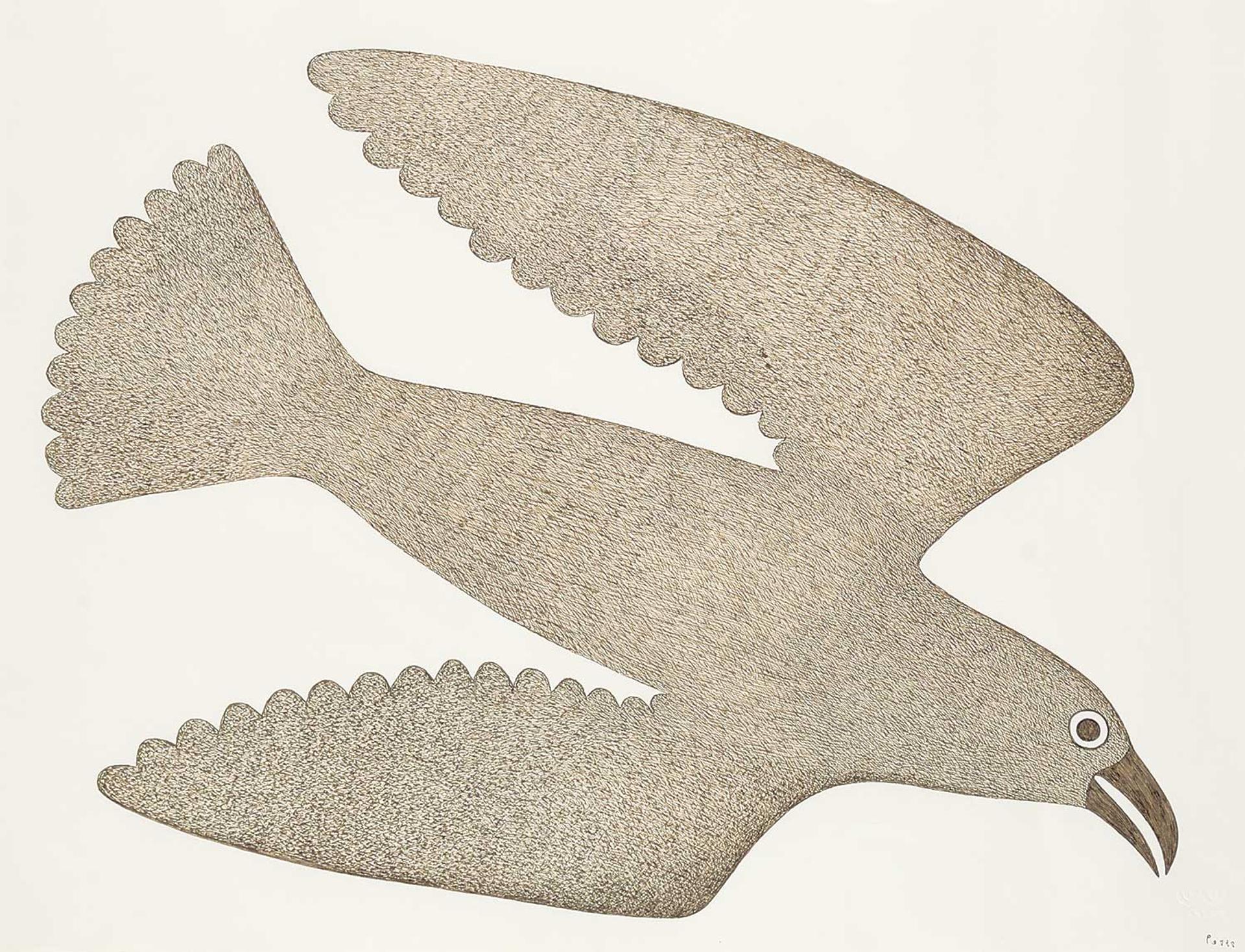Kenojuak Ashevak (1927-2013) - Untitled - Flying Bird