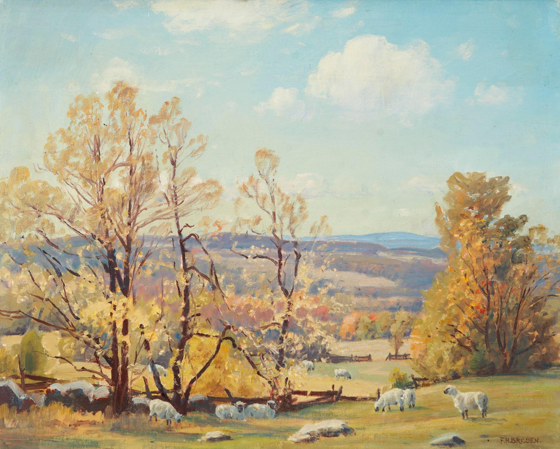 Frederick Henry Brigden (1871-1956) - Sheep Grazing