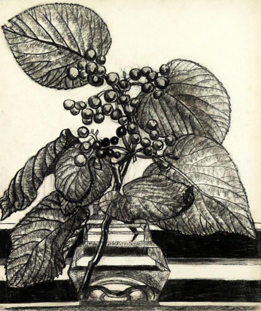 Isabel Grace McLaughlin (1903-2002) - Plant Study
