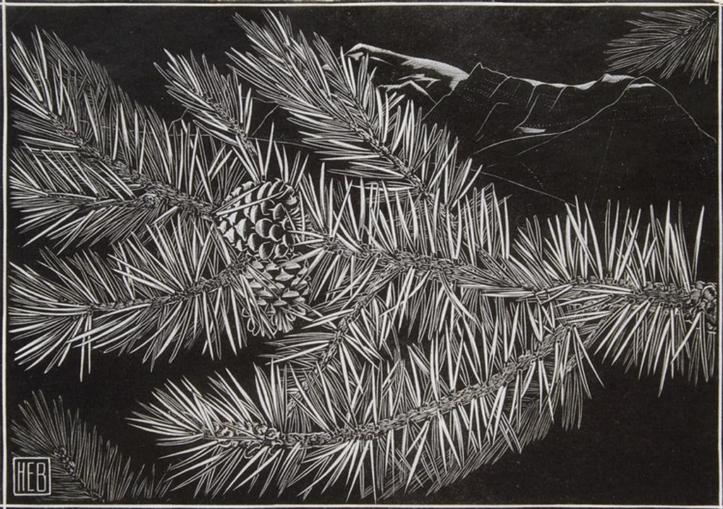 Henry Eric Bergman (1893-1958) - Pinecones