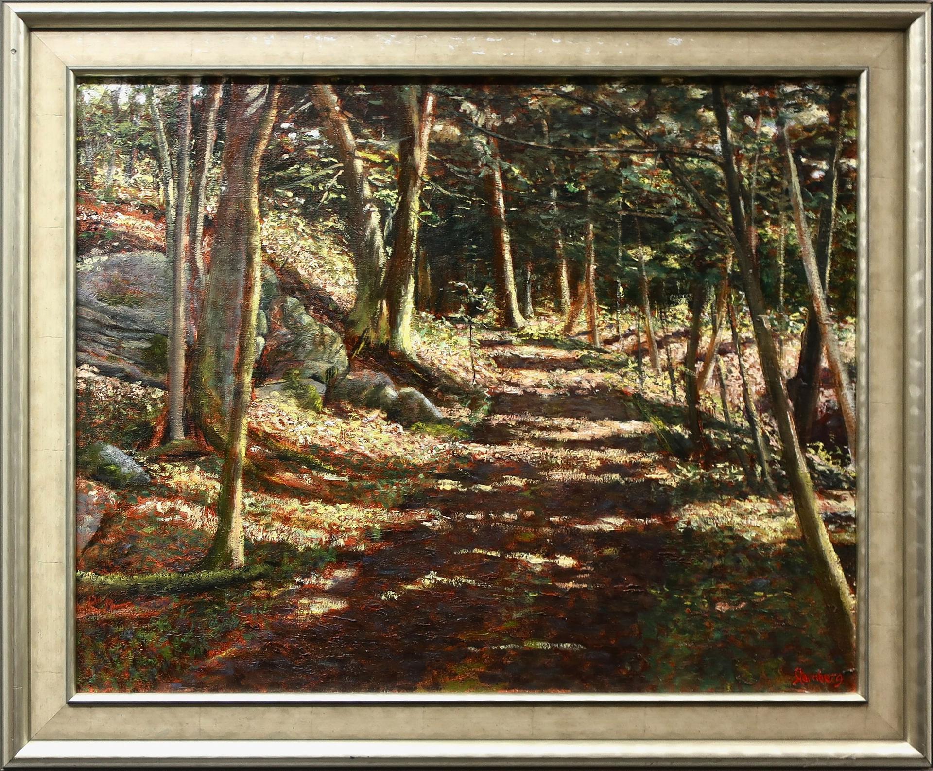 Neil Sternberg - Untitled (Sunlit Pathway)