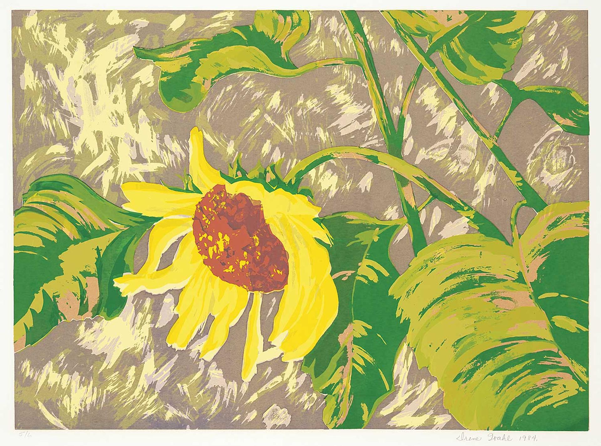 Irene Wahl (1927-2022) - Untitled - Sunflower  #5/6