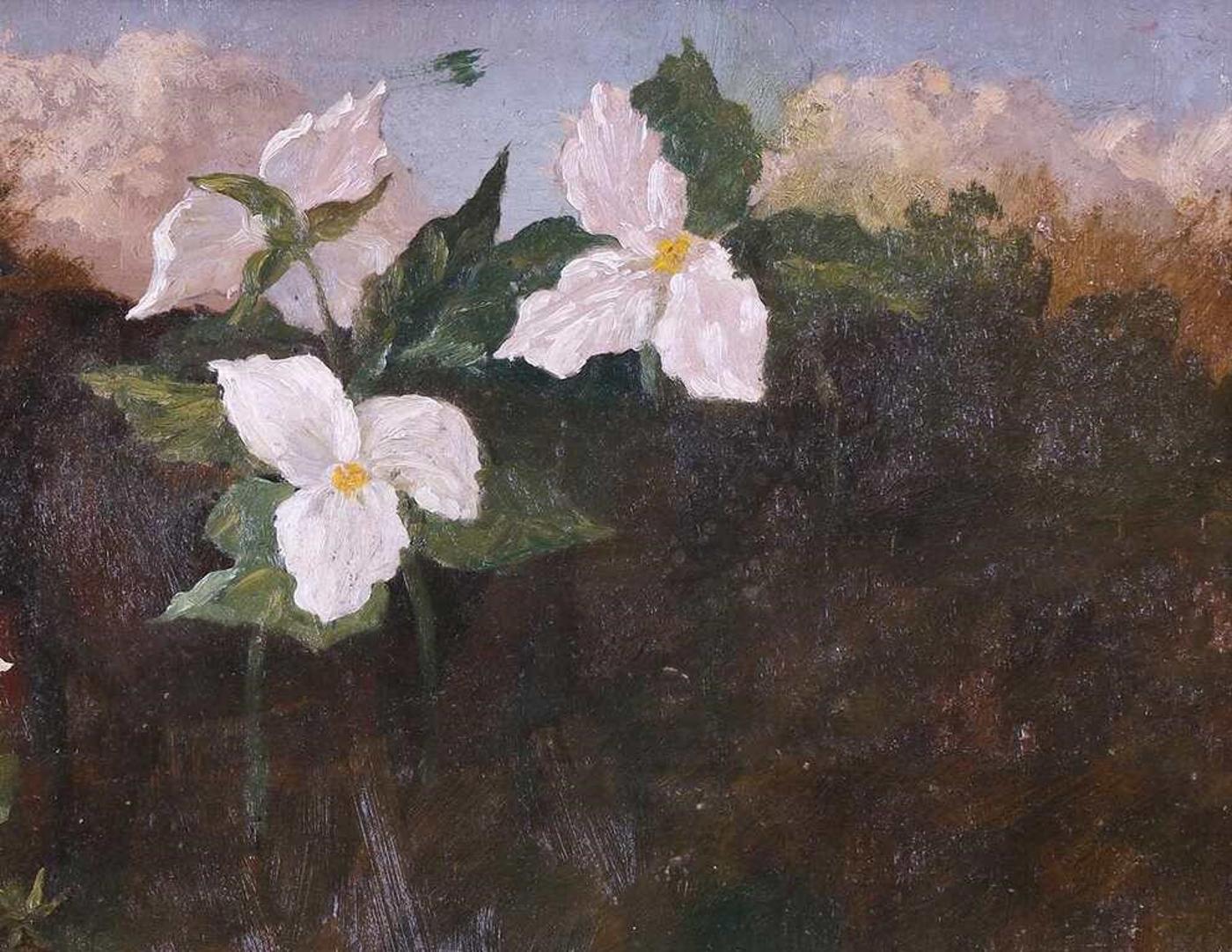 Thomas Mower Martin (1838-1934) - Trilliums