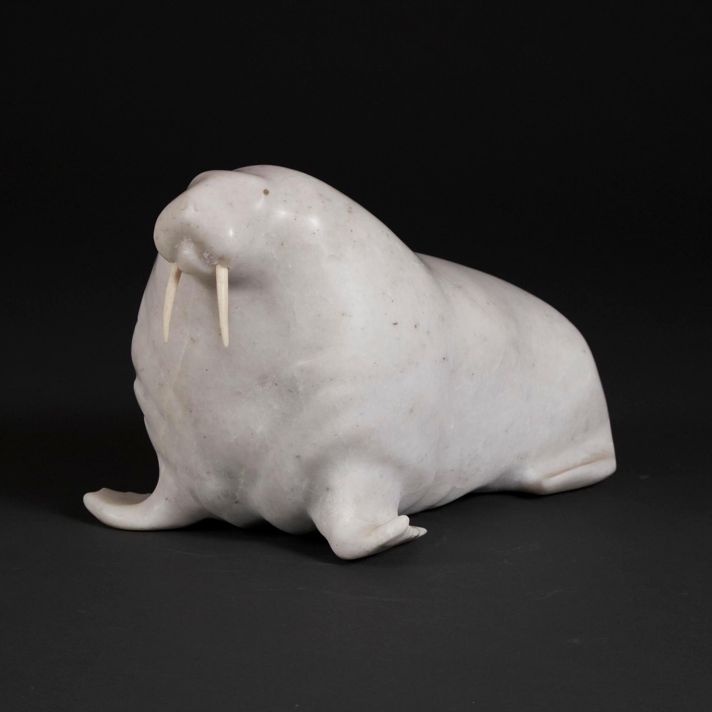 Jimmy Kopak - Walrus