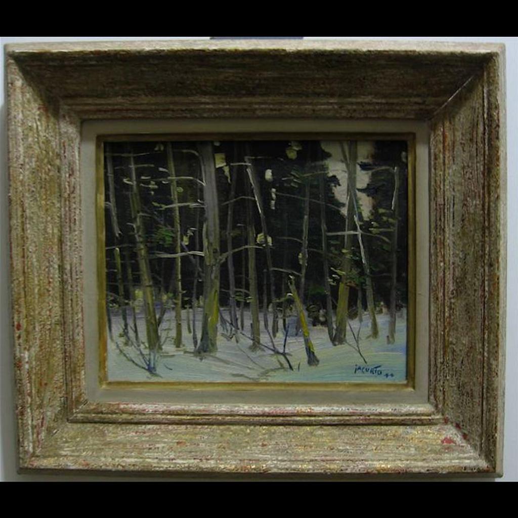 Francesco - Winter Woodland Study