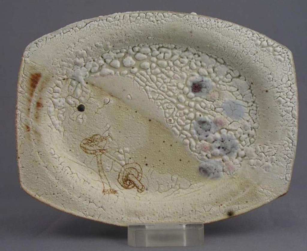 John Chalke (1940-2014) - Rectangular Dish With Mushroom Pattern; 1982