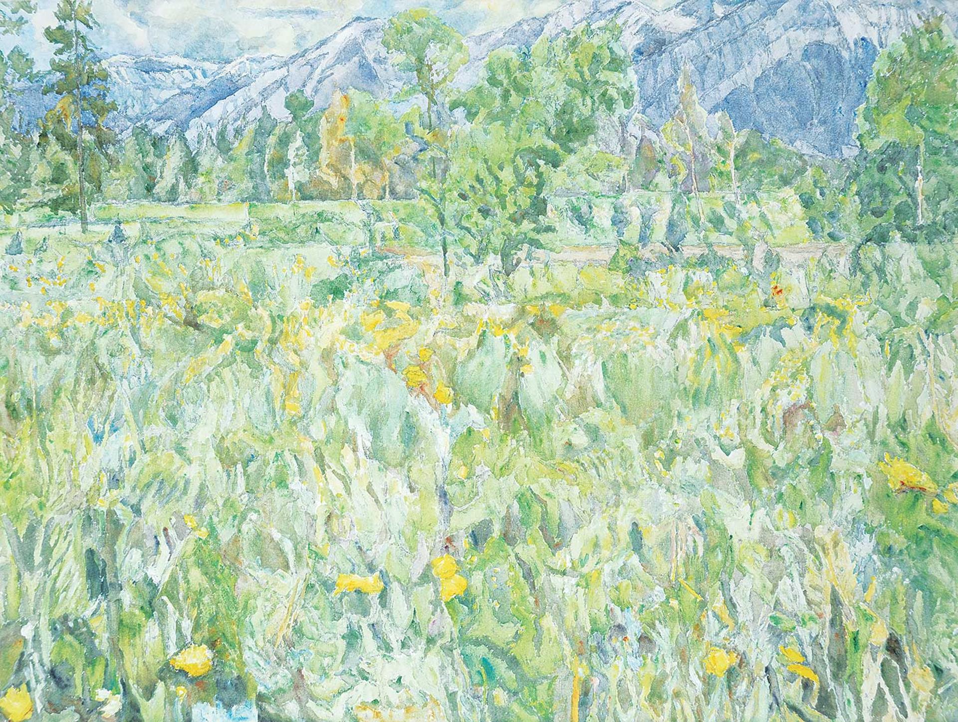 Dorothy Elsie Knowles (1927-2001) - Bow Valley Park