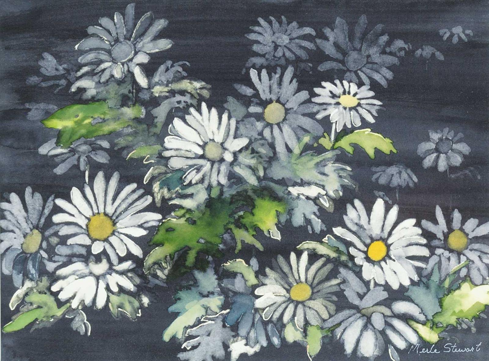 Merle Stewart - Daisies