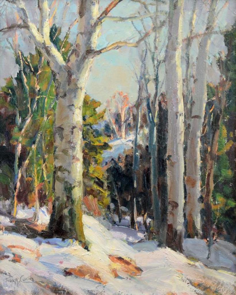 Thomas R. Curtin (1899-1977) - Forest Winter