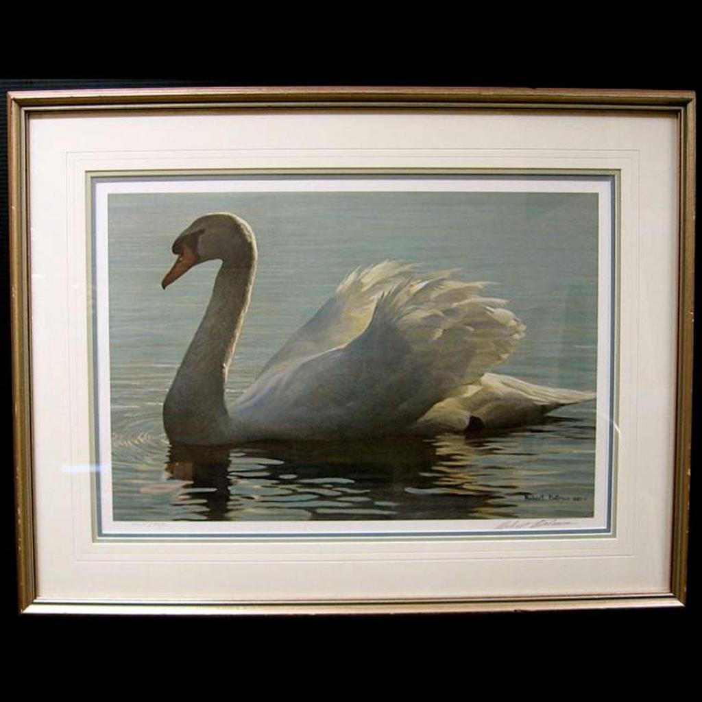 Robert Mclellan Bateman (1930-1922) - Backlight - Mute Swan