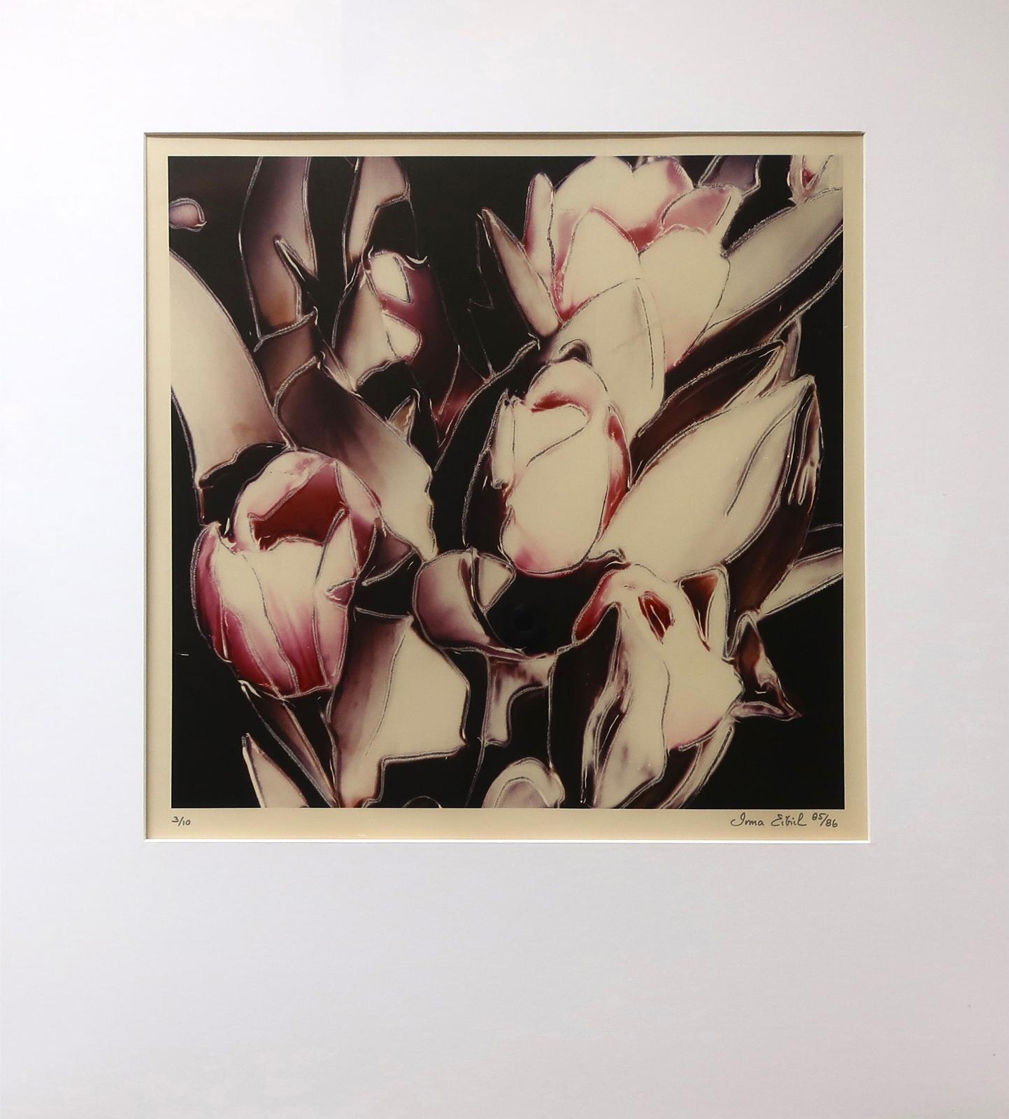 Irma Eibich - Picasso's Tulips