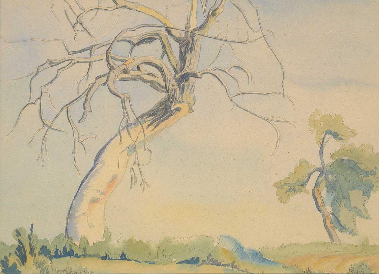 Margaret Dorothy Shelton (1915-1984) - Untitled - Dead Poplar Tree