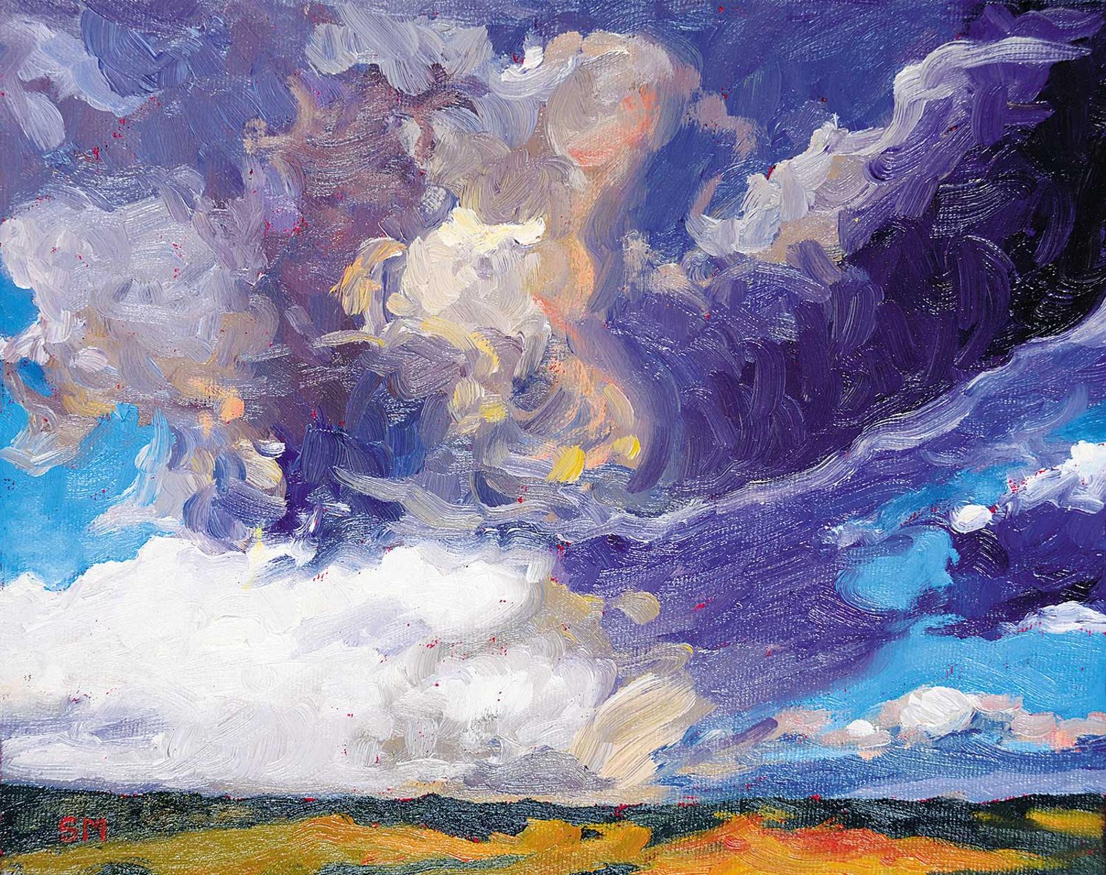 Shelley McMillan - Dark Clouds are Beautiful I