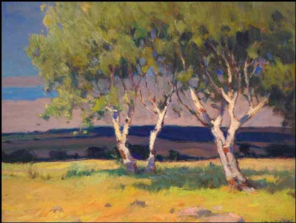 John William (J.W.) Beatty (1869-1941) - Birches near Canton, Ontario
