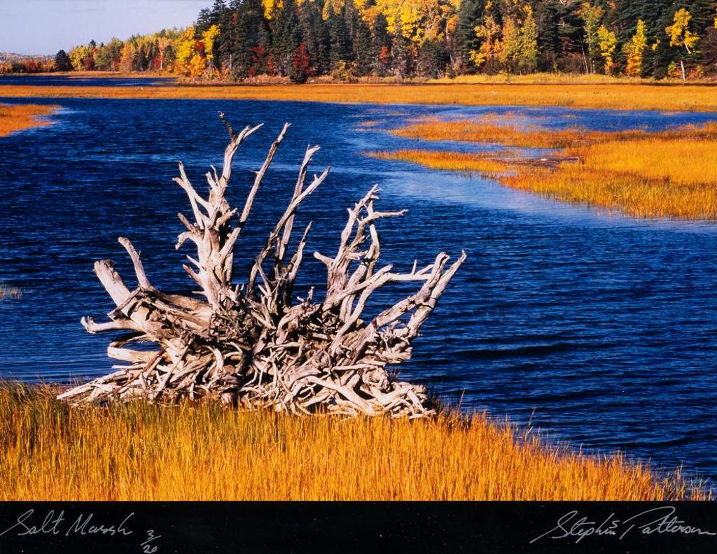 Stephen Scott Patterson - Salt Marsh