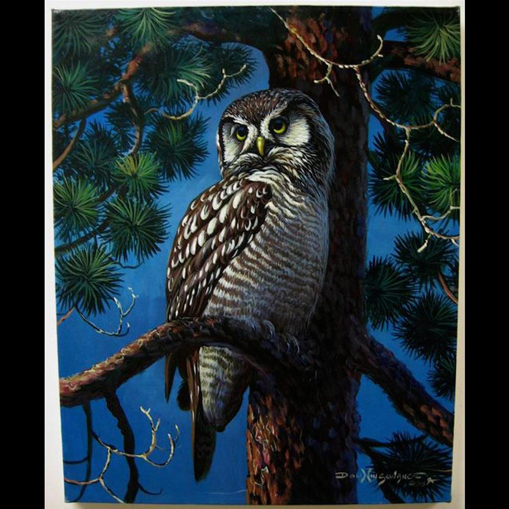 Don Ningewance (1948) - Hawk Owl