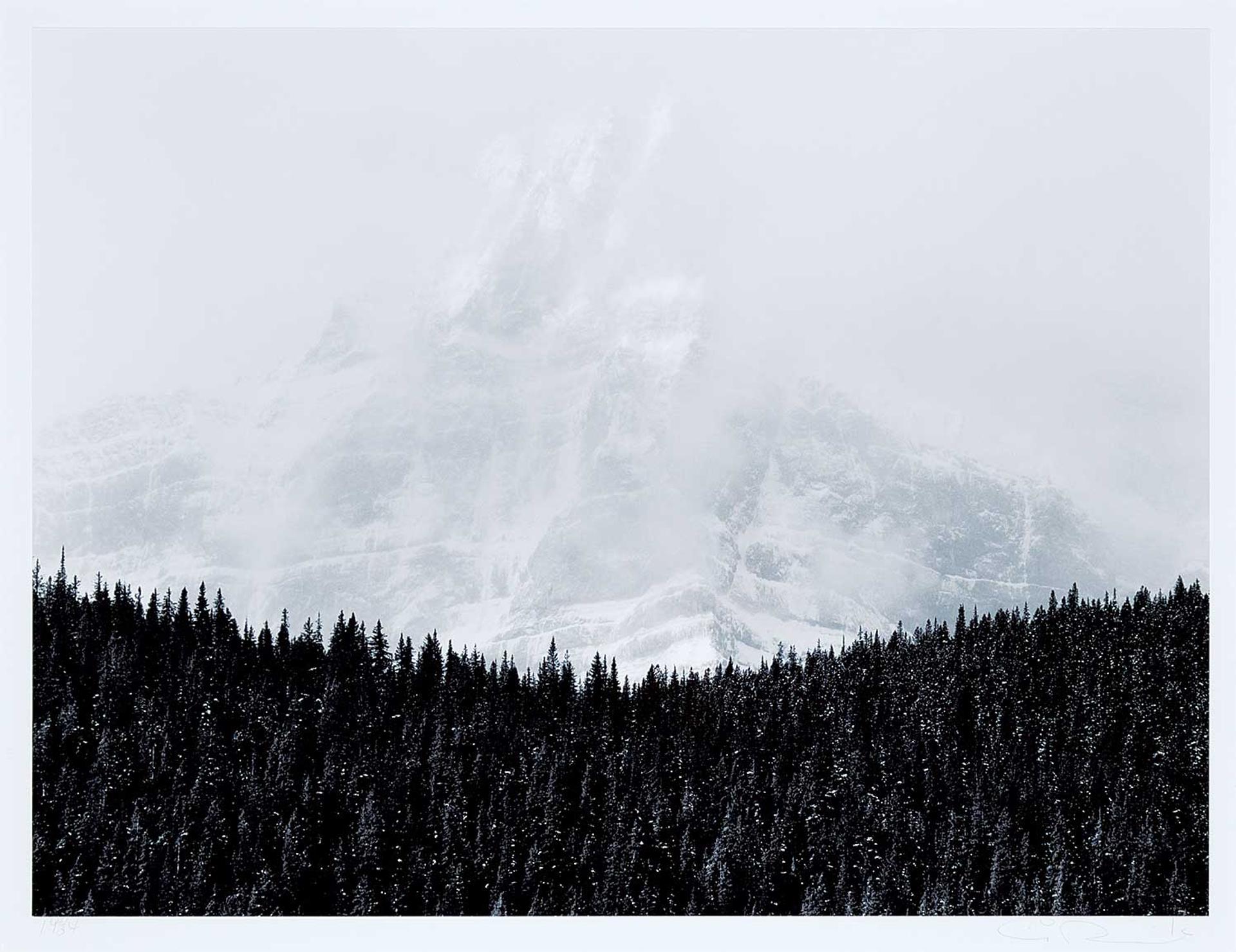 Craig Richards (1955) - Untitled - Mountain Beyond the Trees [Canadian Rockies Series]