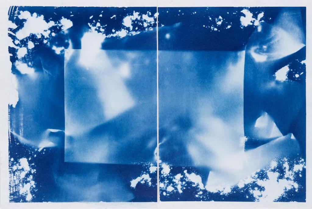 Sheldon Brown (1988) - Untitled - Cyanotype Rectangle Diptych