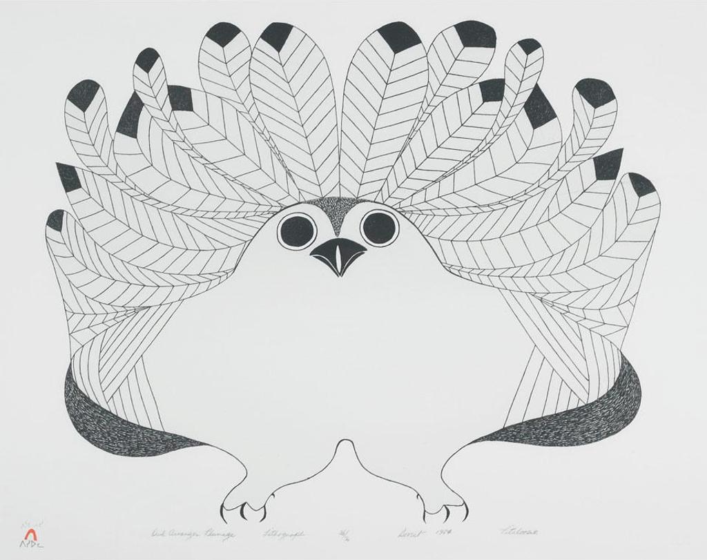 Pitaloosie Saila (1942-2021) - Owl Arranger Plummage