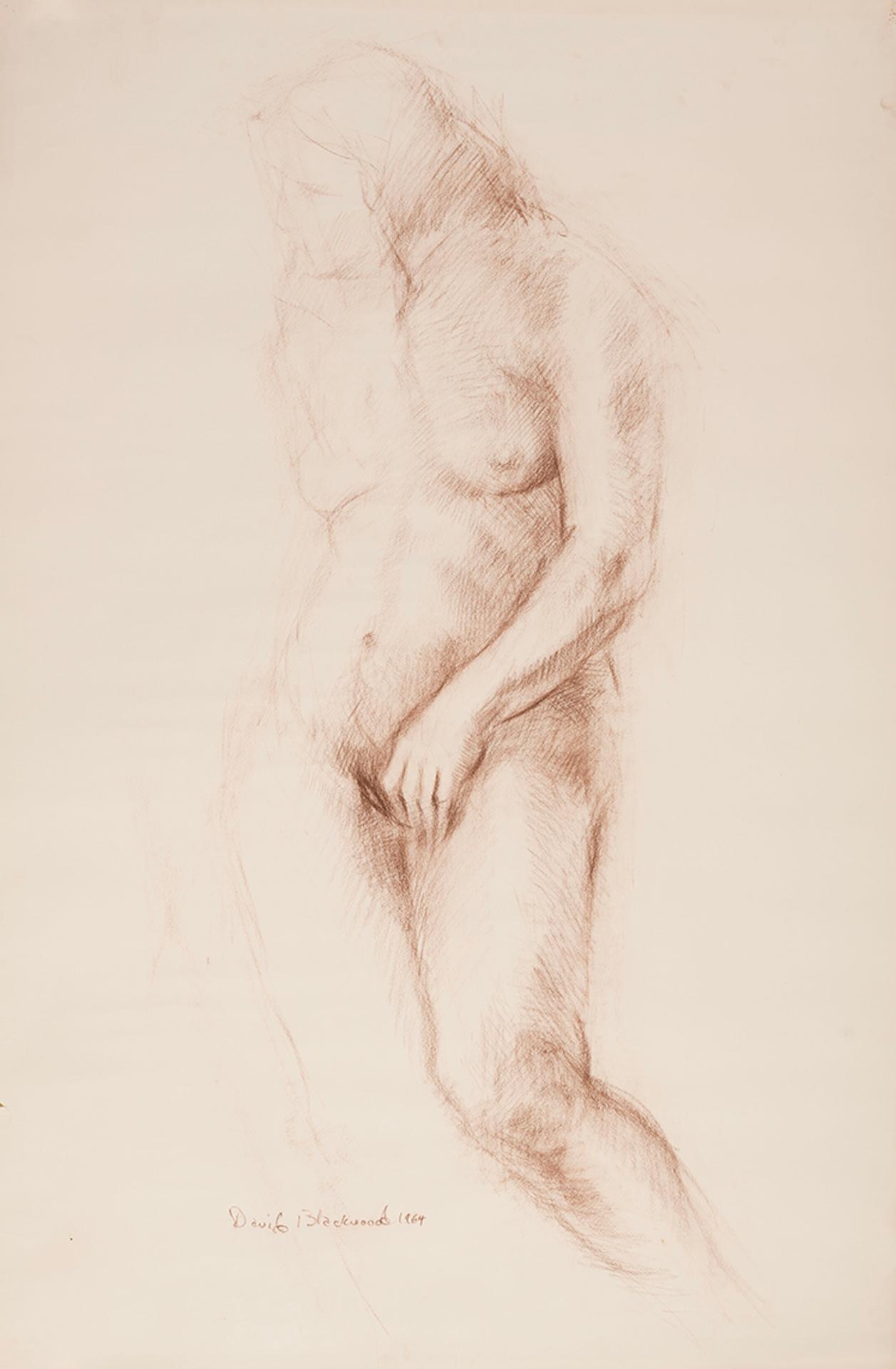 David Lloyd Blackwood (1941-2022) - Nude Figure