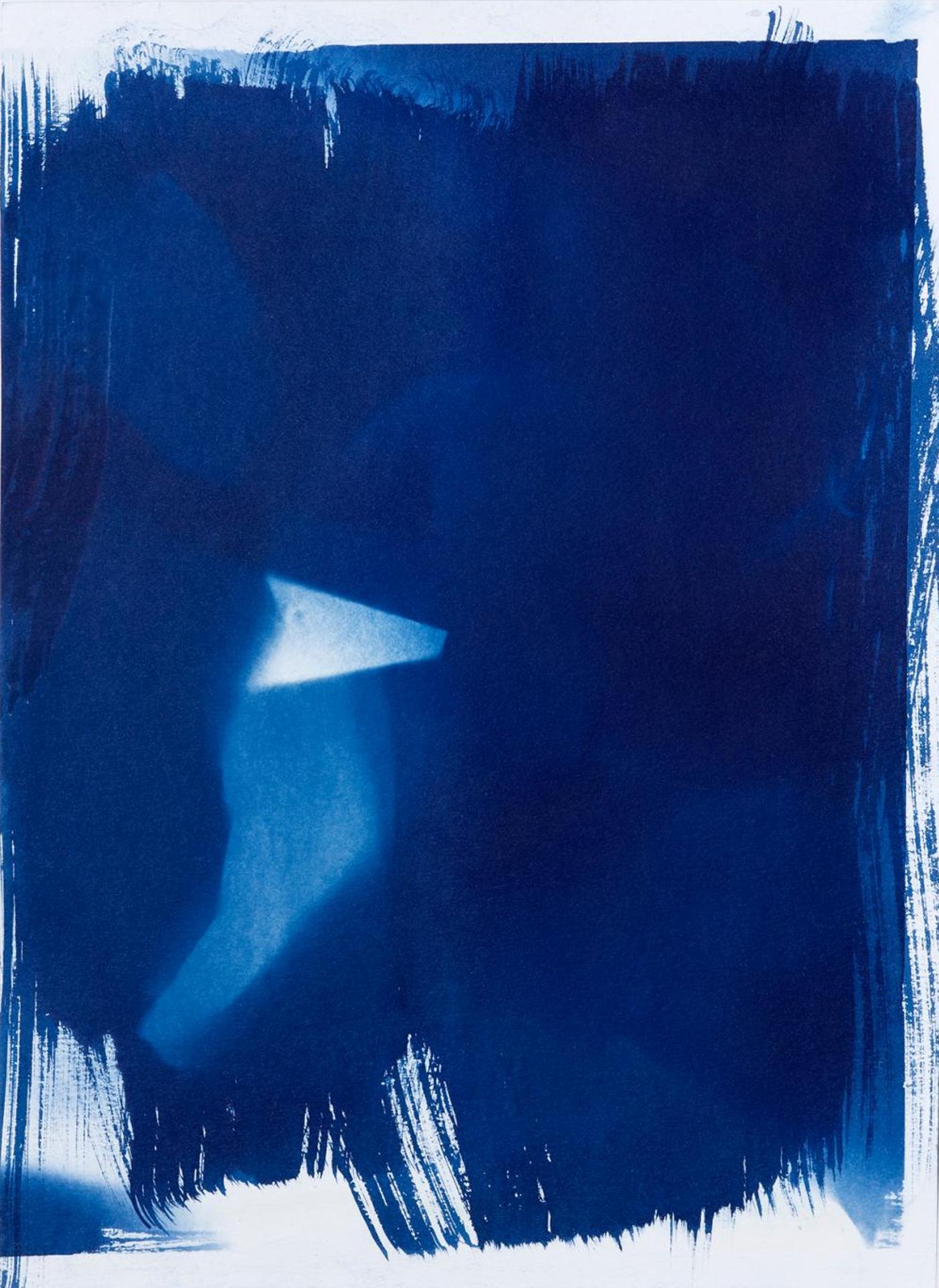 Sheldon Brown (1988) - Untitled - Cyanotype with Triangle