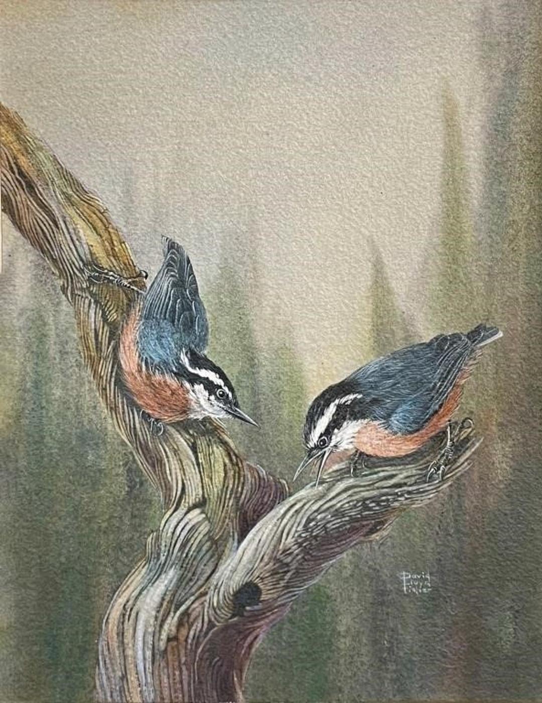 David Lloyd Fisher (1935-2015) - Read Breasted Nuthatches