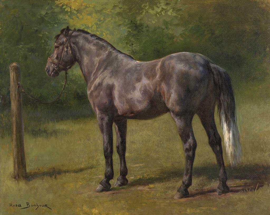 R Bonheur (1822-1899) - Study of a Standing Horse