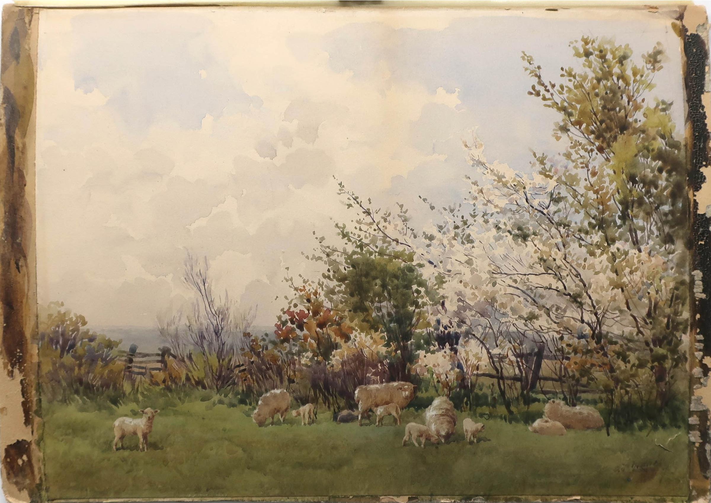 Charles MacDonald Manly (1855-1924) - Untitled (Sheep Grazing And Resting)