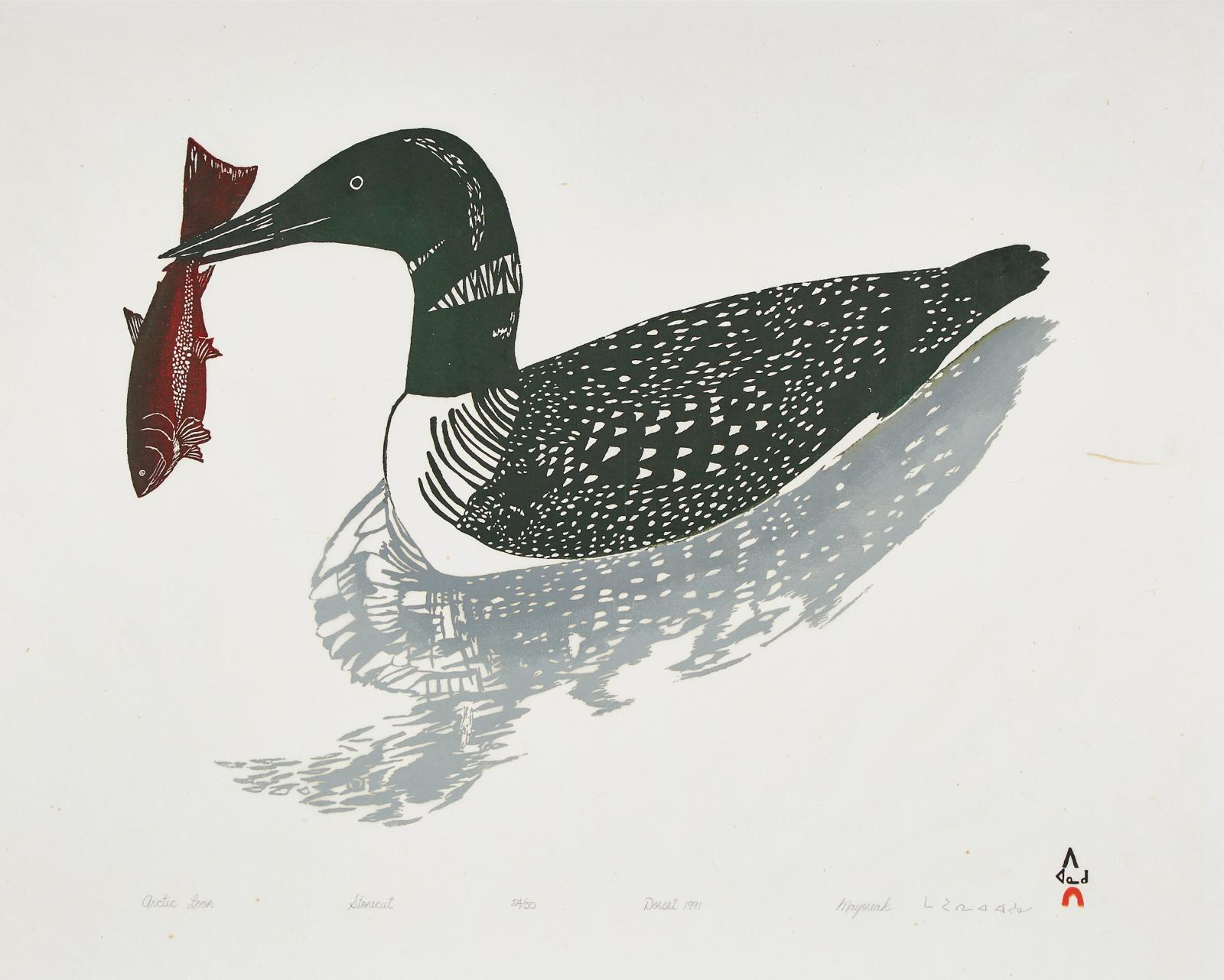 Mayureak Ashoona (1946) - Arctic Loon