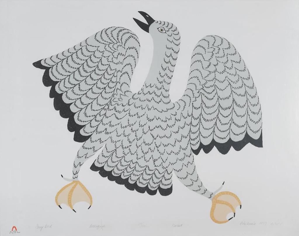 Pitaloosie Saila (1942-2021) - Grey Bird