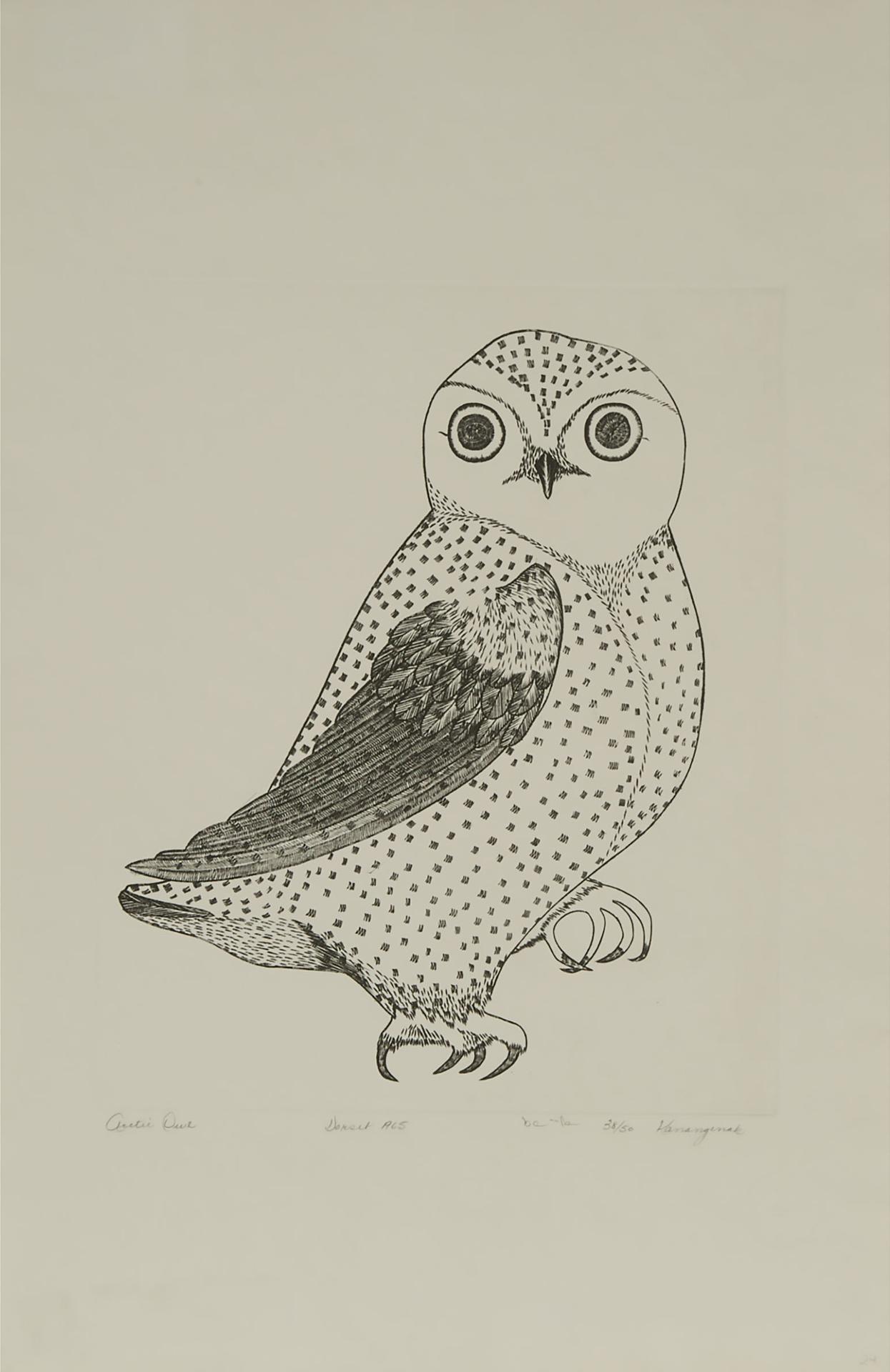 Kananginak Pootoogook (1935-2010) - Arctic Owl
