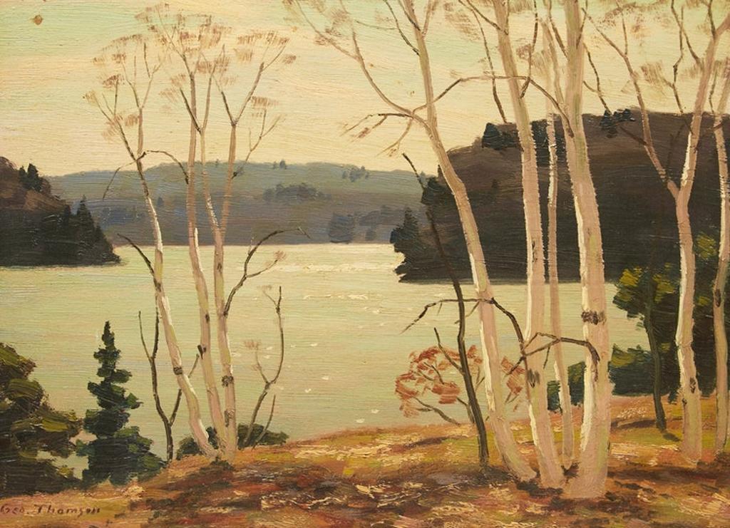 George Albert Thomson (1868-1965) - The Birch Screen (Lake of Bays)