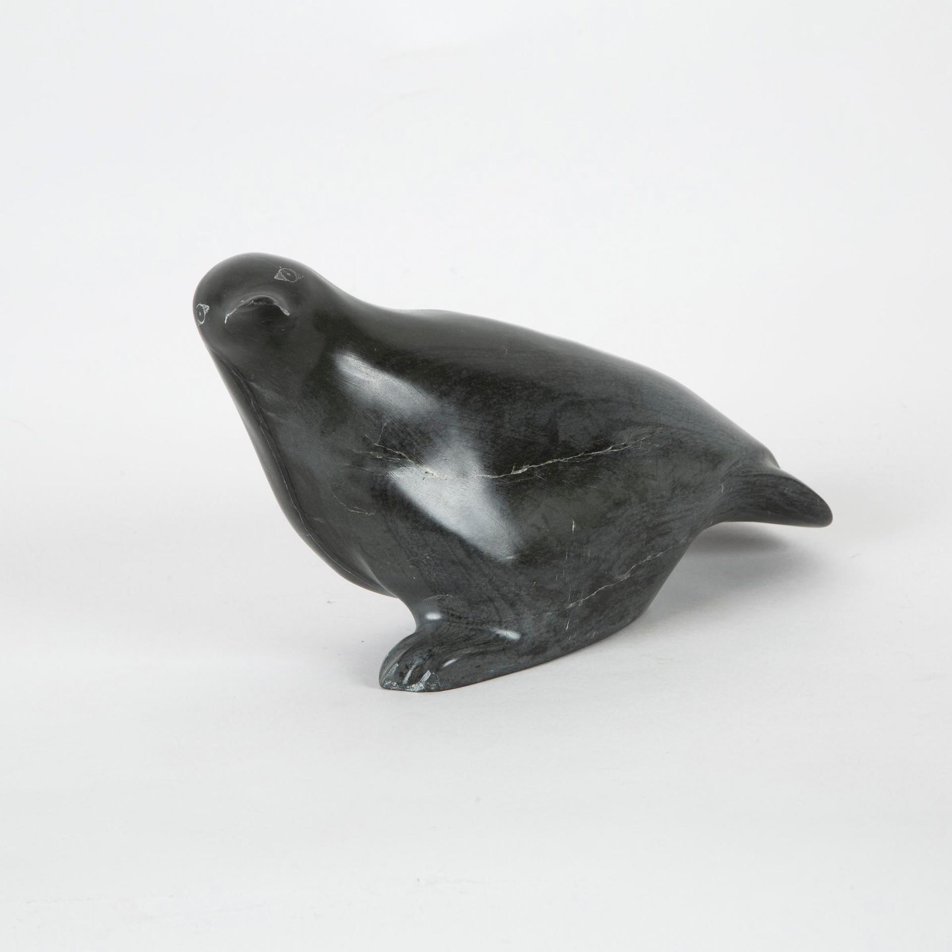 Joe Arragutainaq (1937) - Bird