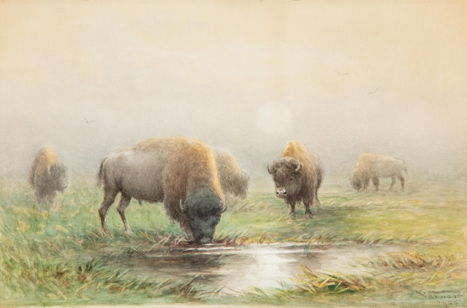 Frederick Arthur Verner (1836-1928) - Buffalo At Watering Hole