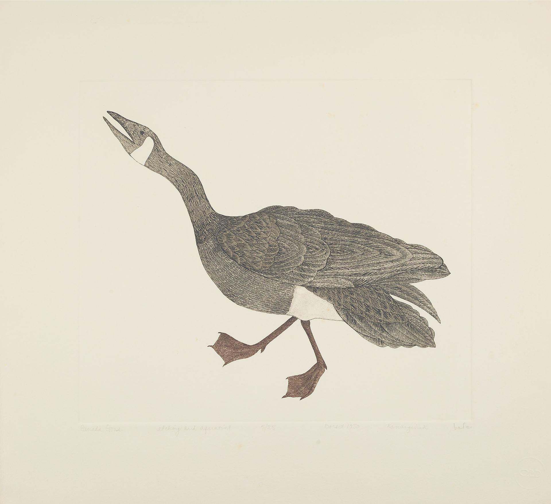 Kananginak Pootoogook (1935-2010) - Canada Goose
